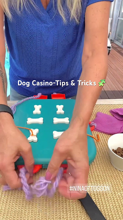 Nina Ottosson's Tips & Tricks: Hacking the Dog Casino – OH Blog