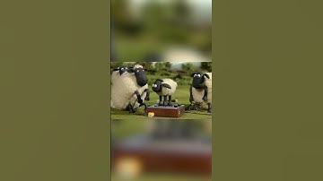 Turntable Timmy!🐑🐑🐑 #shorts #shaunthesheep #cartoonforkids #party #animals #preschool