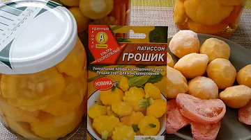 💣 Патиссоны сорта  ГРОШИК!  Обязательно посадите! Уникальные плоды корнишонного типа! Лучший сорт !