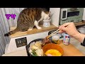 【ハイエース 車中飯】まだまだ寒い夜の駐車場で猫と晩酌。豪華な食事に興奮しすぎたマサがやらかしましたw