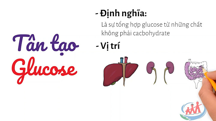 Chuyển hóa glucose tạo acid lactic ở cơ năm 2024