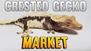 How's The Crested Gecko Market Doing In 2026?