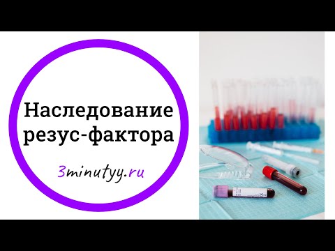 Наследование и определение резус-фактора, агглютинация | биология