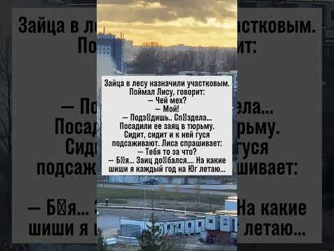 Заяц следователь и лиса с гусем: лесные разборки #анекдоты #юмор