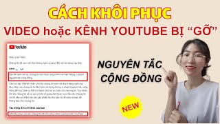 Cách Khiếu Nại Video Hoặc Kênh Youtube Bị Xoá Thành Công | Nguyên Tắc Cộng Đồng Youtube