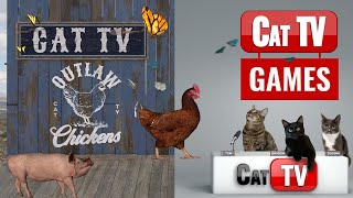 CAT TV | 🐔 OUTLAW CHICKENS | Cat Games 4K | Videos For Cats | Rats, Bugs and Butterflies | 3 Hours