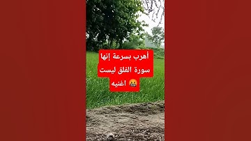أهرب بسرعة إنها سورة الفلق ليست اغنيه 🤬  #اكسبلور #المصحف #islamicprayer #دويتو #الرحمن #quran