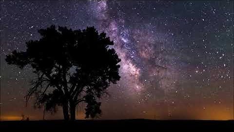 الشيخ أبوبكر مومني صلاة التراويح ليلة 25 رمضان 1442 هـ II سورة الرحمن والواقعة