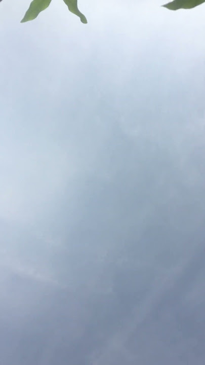 Mentahan Background Tiktok Vibes Romantis No Copyright #shorts