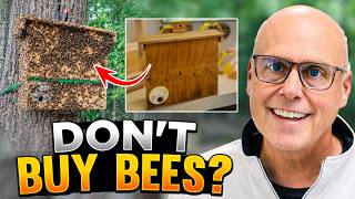 Download Lagu Buying Bees vs. Catching a Swarm: What’s Best for Beginners? MP3