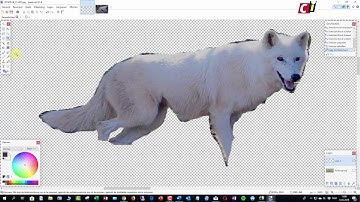 Paint.net: selectie en lagen