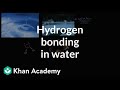 Hydrogen bonding in water | Water, acids, and bases | Biology | Khan Academy