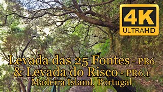 Levada das 25 Fontes PR 6 and Levada do Risco PR 6.1, Madeira Island, Portugal