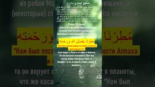 Нам Был Послан Дождь По Милости Аллаха И Милосердию Его. Сахих Аль Бухари 1038