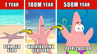 Patrick Star Origin Evolution: How Patrick Star Could Have Evolved