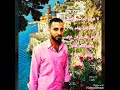 عصفور المحبه