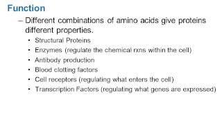 BIO104 Ch  2 C Structure and Function of Macromolecules online