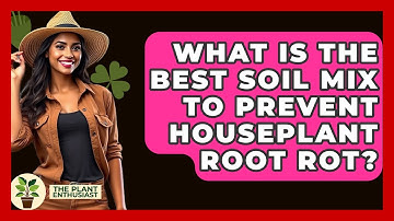What Is The Best Soil Mix To Prevent Houseplant Root Rot? - The Plant Enthusiast