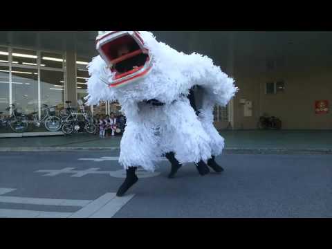 獅子舞 しんか 2016.1.1