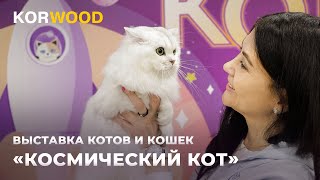 KORWOOD | Международная выставка кошек "Космический Кот" (2024)