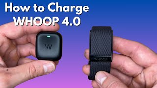 How to Charge WHOOP 4.0 (Plus More)