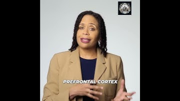 Brain vs. Habit: Why Willpower Fails (and What Actually Works)