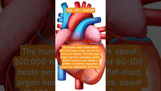 your heart never rests even when you do #learn #grow #knowledge #heart