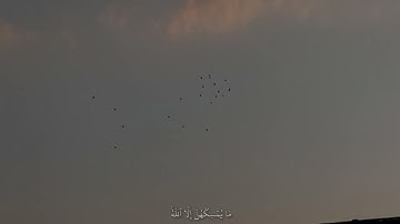 سورة النحل ، آية 79. 