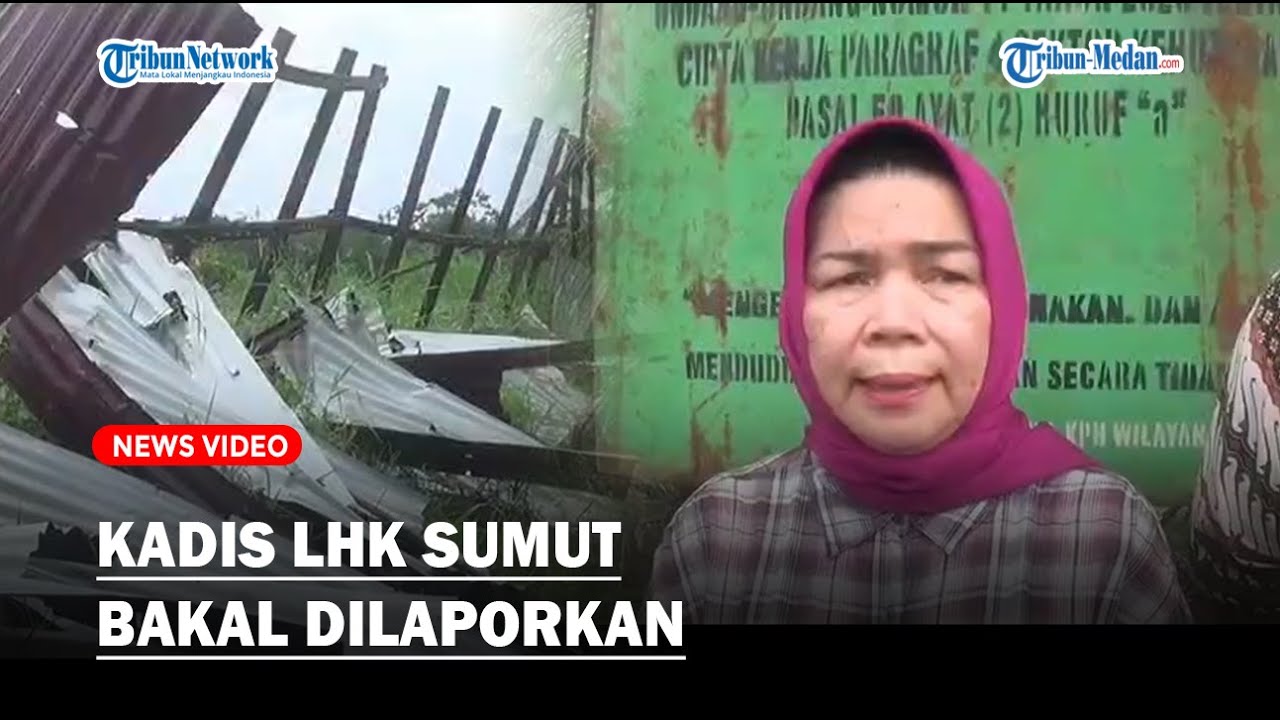 Buntut Bongkar Pagar Seng, Kadis LHK Sumut Akan Dilaporkan ke Polda