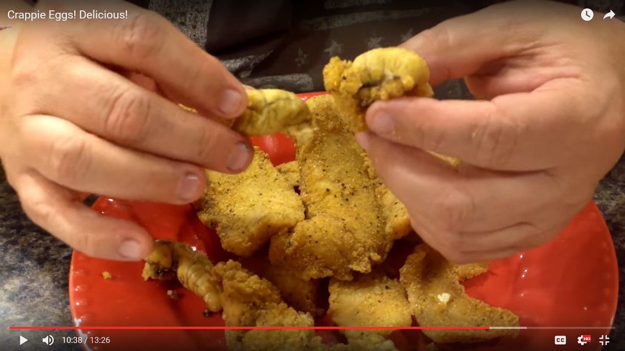Crappie Eggs! Delicious! YouTube