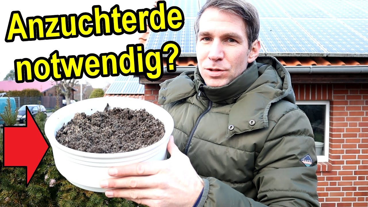 Ist Anzuchterde wirklich notwendig? Oder geht auch normale Blumenerde