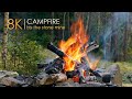 Paysage naturel prs du feu de campsons relaxants apaisants 8k