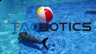 An Underwater Biomimetic Robotic Fish Developed By Chao Wendao