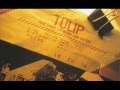 たったひとりのオーディエンス( I dream TULIP Concert Tour in 中野サンプラザ)
