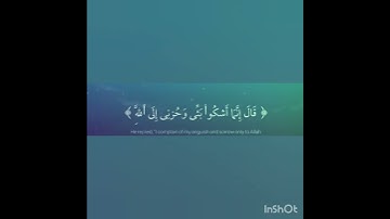 قرآن كريم بصوت الشيخ إسلام صبحي ماشاءالله تبارك الله 🤍