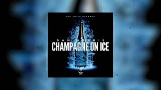 Sam Harris - Champagne on Ice