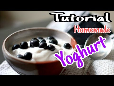 Video: Cara Memanggang Manna Lezat Dalam Yogurt