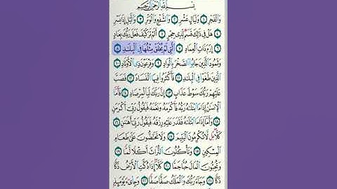 سورة الفجر ٨ - ١٤