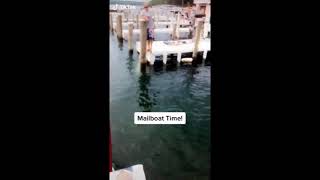 Mail delivery by boat - watch this guy!