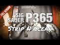 Strip & Clean Sig Sauer P365 In 3 Simple Steps (Full Version)