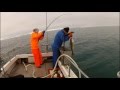 Extreme fishing saltwater fishing cod fishing husavik iceland