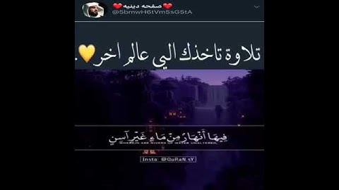 تلاوه تأخذك الى عالم آخر