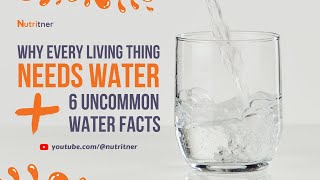 The Most Important Benefit Of Water + 6 Uncommon Water Facts