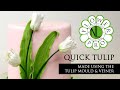 Flower Pro Quick Tulip | Cake Decorating Tutorial With Chef Nicholas Lodge
