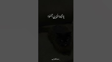 -سورة الأحزاب ᥫ᭡ #قران_كريم #اكسبلور #المصحف #أَثَر #لايك #قرآن #حالات_واتس #دينيه #شورتس #شورت