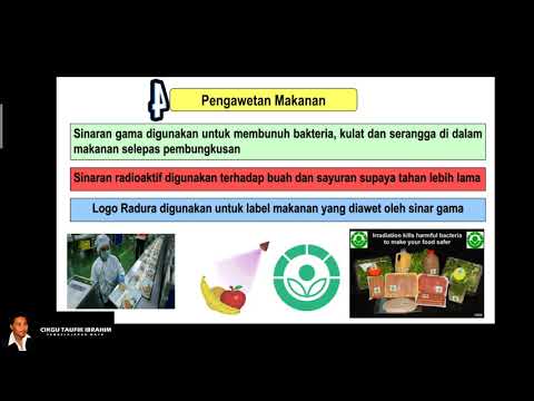 Video: Menggabungkan Paratransgenesis Dengan SIT: Kesan Sinaran Mengion Pada Nombor Salinan DNA Sodalis Glossinidius Dalam Lalat Tsetse