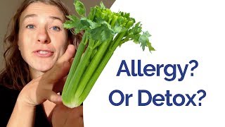 Celery juice - am i allergic or is it a detox reaction? this one of
the most common questions you've asked! what we'll cover in video 1.
understandin...