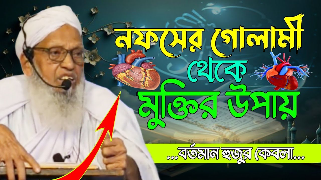 নফসের গোলামী থেকে মুক্তির উপায় | বর্তমান হুজুর কেবলা | haqqani anjuman