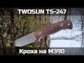 TWOSUN TS-247: Кроха на M390