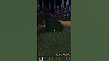 Health Limit Pocketmine Plugin | Pocketmine 4.0.0